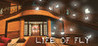 Life of Fly Image