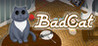 Bad Cat Image