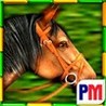 Gallop for Gold Slots Image