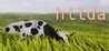 hilda Image