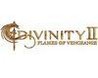 Divinity II: Flames of Vengeance Image