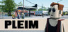 Pleim Image