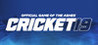 Cricket 19: Official Game of the Ashes