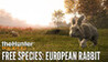 theHunter: Call of the Wild - Free Species: European Rabbit Image