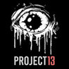 Project 13 Image