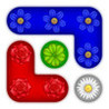 Flower Cells Image