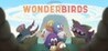 Wonderbirds Image