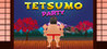 Tetsumo Party Image