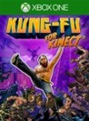 Kung-Fu for Kinect Image