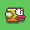 Squarish Bird Image