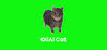 OiiAi Cat