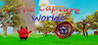 The Capture Worlds