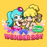 Wonder Boy Returns Image