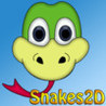 Snakes2D Image