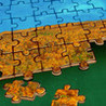 Jigsaw Puzzle 500+ Image