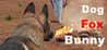 Dog_Fox_Bunny Image