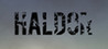 Haldor Image
