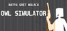 Owl Simulator Image