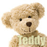 Teddy HD Image