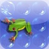 Move the frog - Plastic Bubbles Image