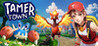 Tamer Town Image