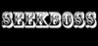 SEEKBOSS