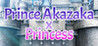 Prince Akazaka x Princess
