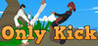 Only Kick Image
