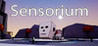 Sensorium Image