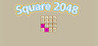 Square 2048 Image