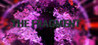 The Fragment Image