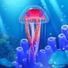 Splash: Fish Sanctuary Image