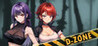 D-Zone Image