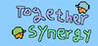 Together Synergy