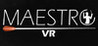Maestro VR Image