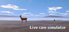 Live Cam Simulator Image