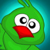 Green Parrot! Image