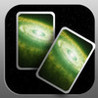 SpacePairs Image