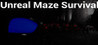 Unreal Maze Survival Image