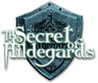 The Secret of Hildegards Image