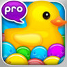 Pop Duck Pro Image