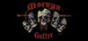 Morvyn Gutter Image