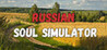 Russian Soul Simulator Image