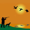 Duck Hunt Hero 2 Image