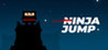 Ninja jump Image