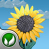 Clay'n'Rain Image