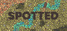 Spotted Image