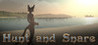 Hunt and Snare