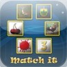 Match-It Image