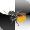 iKill Bug Image